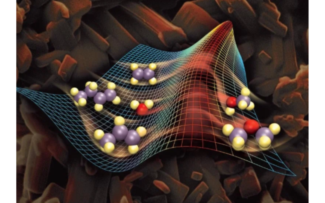 Milestone reached: catalyst kinetics and deactivation study